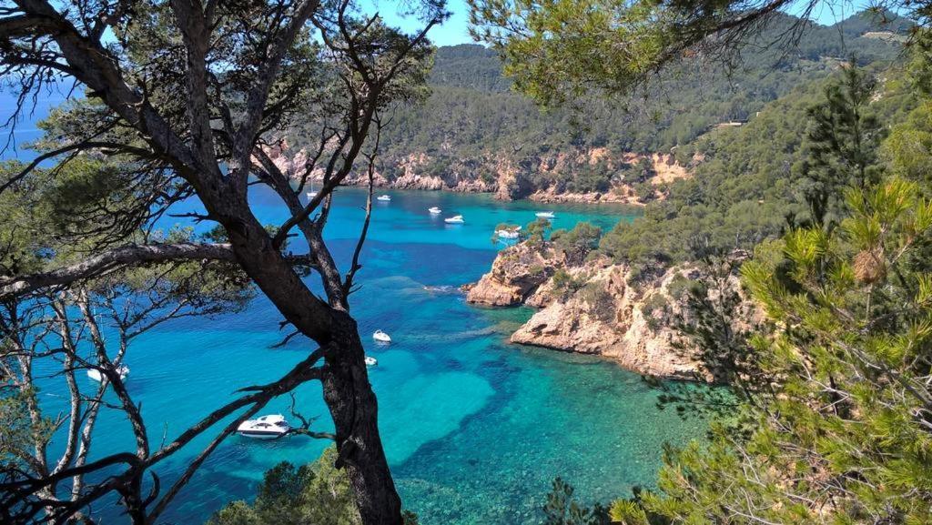 T2 Bandol Ideal Vacances 2 Etoiles Eksteriør bilde